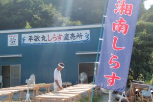 佐島・平敏丸